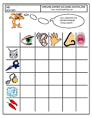 okul öncesi çocuklar için duyu organları çalışma örnekleri